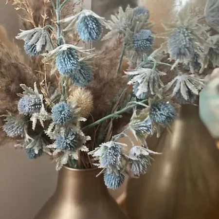 Chez Virginie Agreable Centre Parking Appartamento