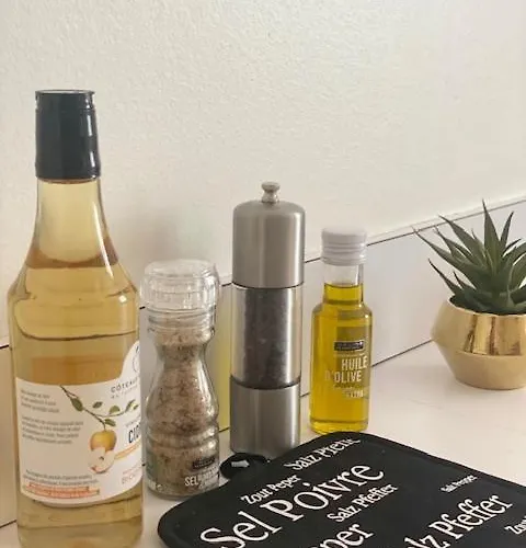 Chez Virginie Agreable Centre Parking * Ruan