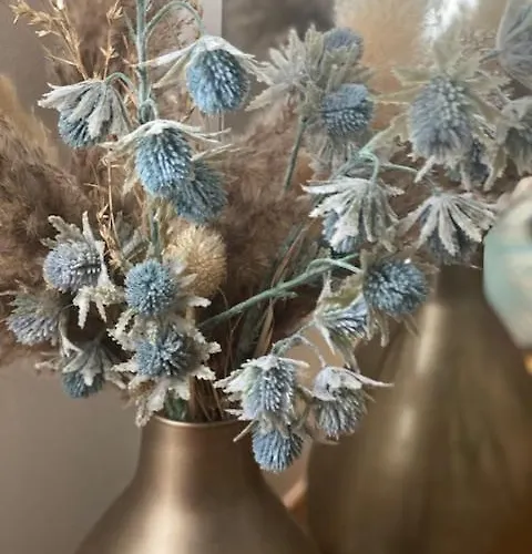 Chez Virginie Agreable Centre Parking Apartamento